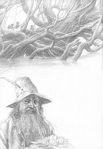 The Old Forest
